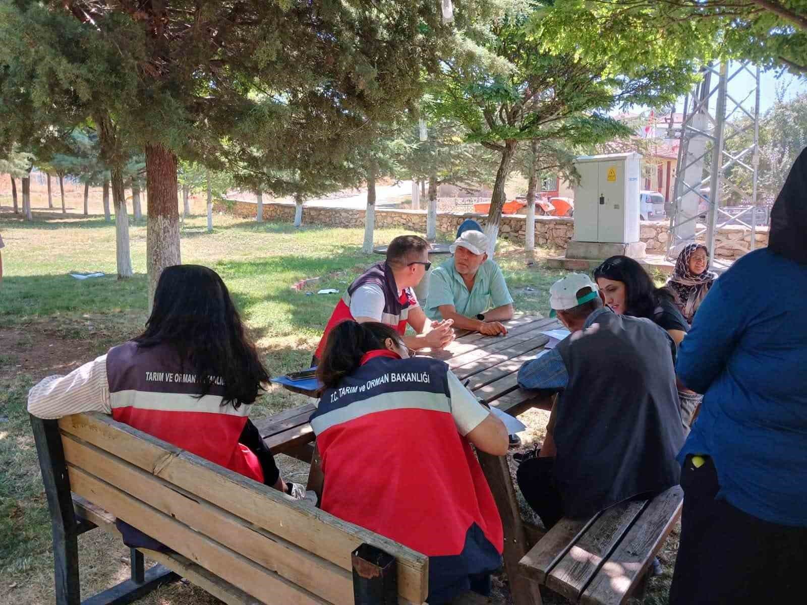 Hisarcık Karbasan köyünde organik adaçayı üretim alanları denetlendi