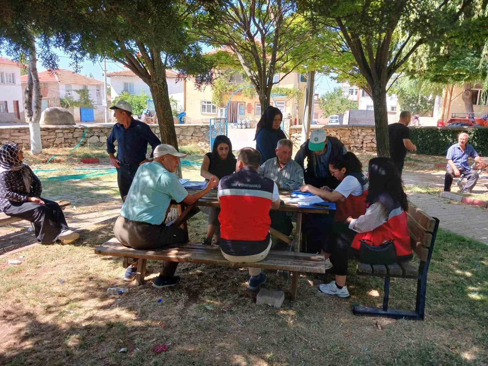 Hisarcık Karbasan köyünde organik adaçayı üretim alanları denetlendi